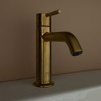 1904 Alma Servantbatteri