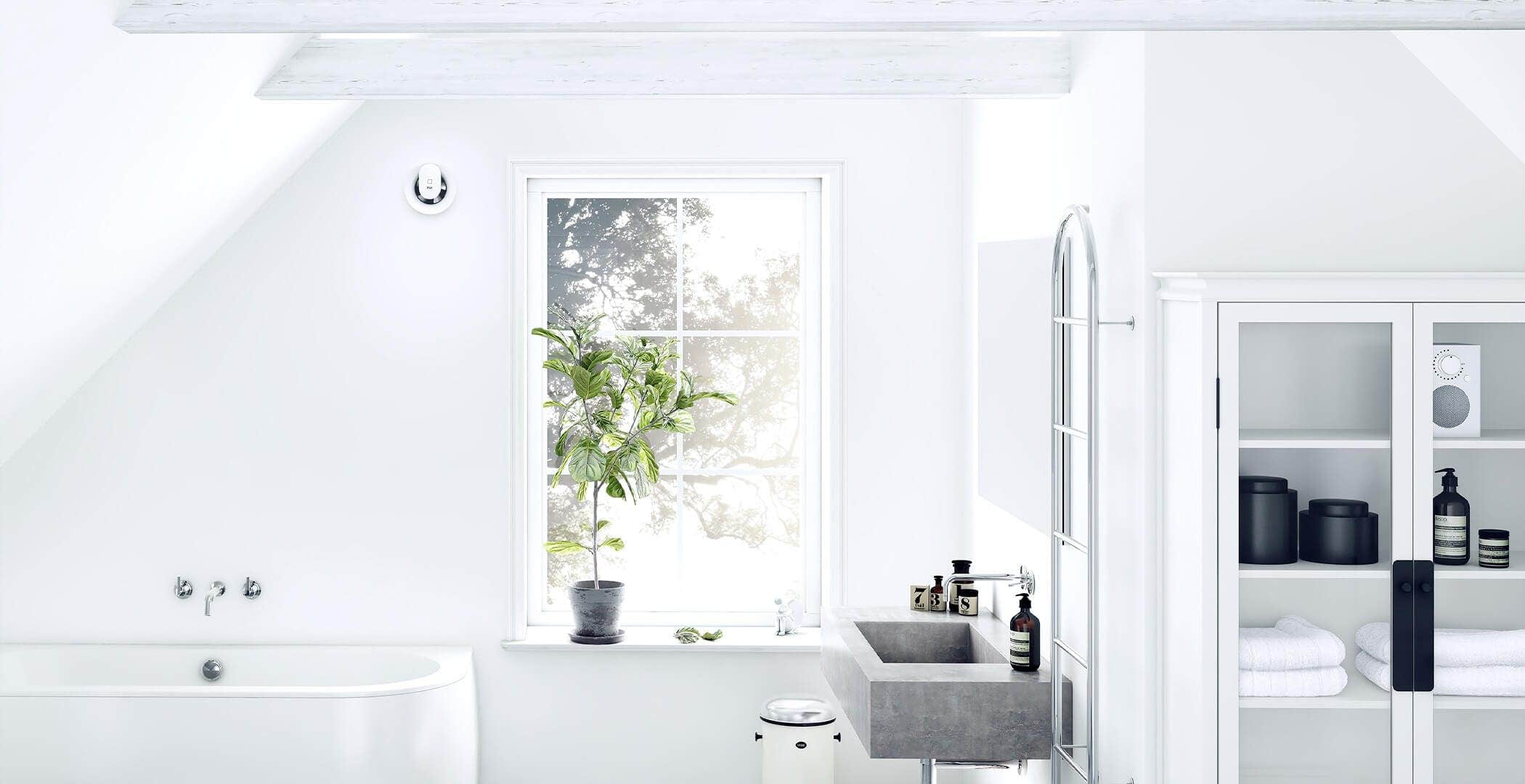 Gallery image 1