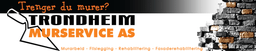 Trondheim Murservice logo