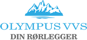 Olympus Vvs logo