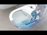 HygienicFlush