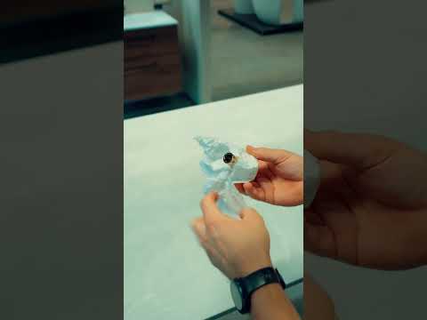 Unboxing (gull)