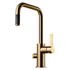 Tapwell ARM587 Kjøkkenarmatur