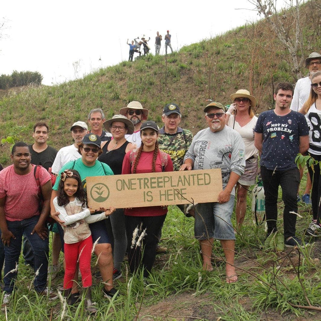 Plant et tre med oss One Tree Planted Veldedighet
