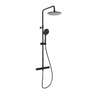 Svedbergs Yding Takdusj Ø23cm Komplett Svart matt Svedbergs Takdusj SV-96851